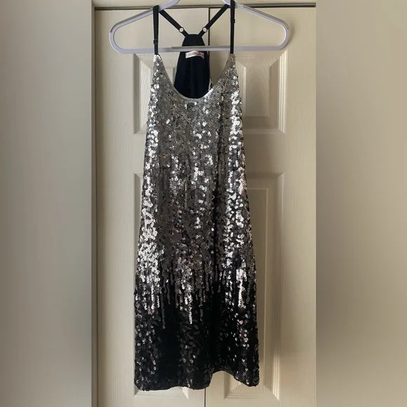 Silver Sparkly Dress-Eras Tour-Fearless Era - Picture 3 of 4